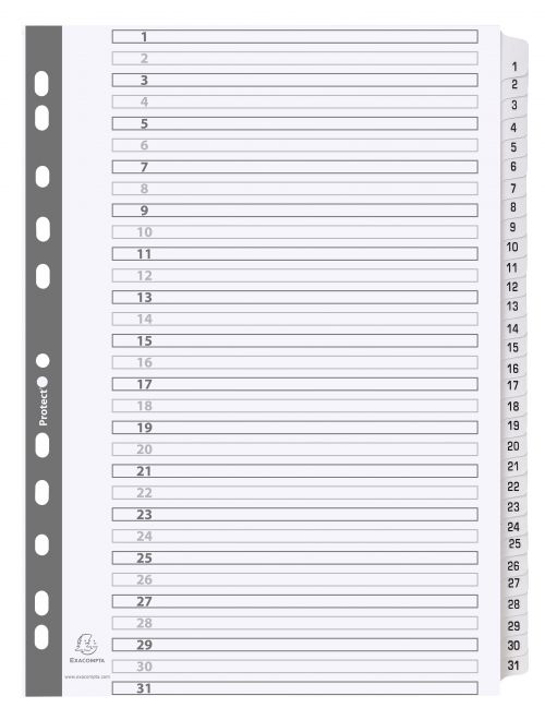 Exacompta Mylar Printed 160 GSM Indices A4 31 Part, 1 to 31 Numbered Tabs