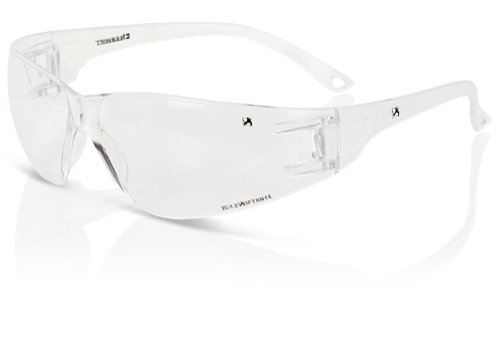 Beeswift Performance Wrap Around Spectacle Clear